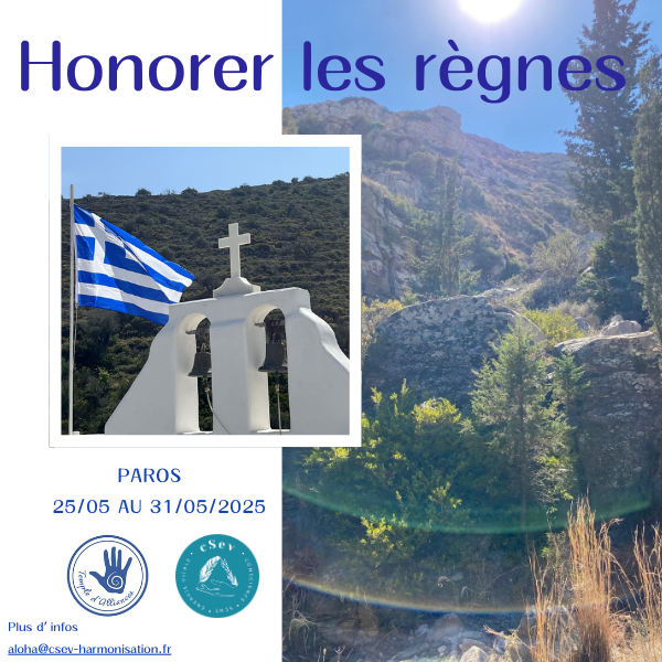 STAGE PAROS 2025 _ Honorer les Règnes